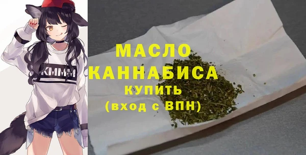 индика Богданович