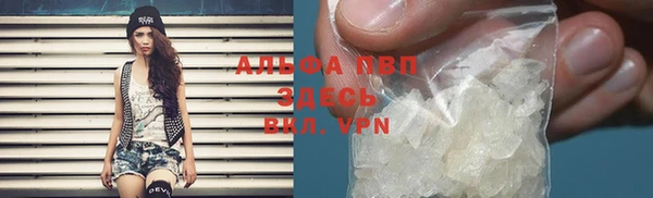 СК Пересвет