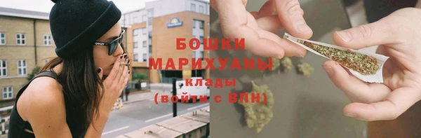 СК Пересвет