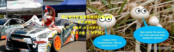 трава Переславль-Залесский