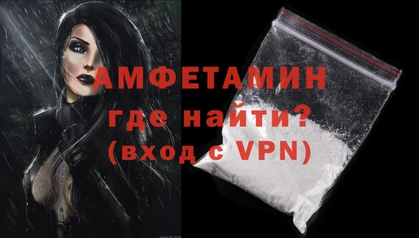 СК Пересвет