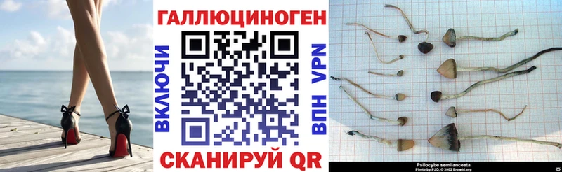 blacksprut ТОР  закладки  Грязи  Галлюциногенные грибы мухоморы 