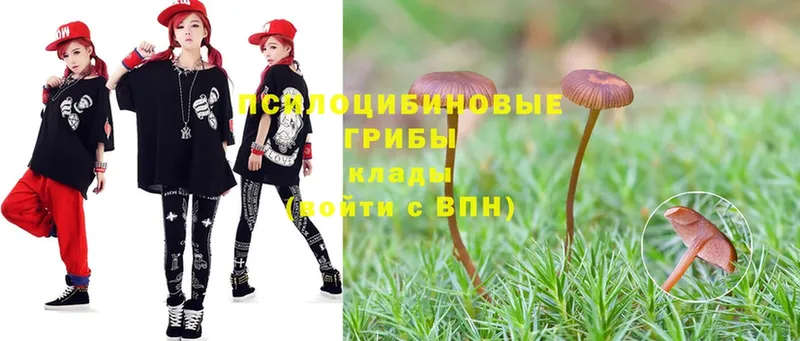 Галлюциногенные грибы Magic Shrooms  Грязи 