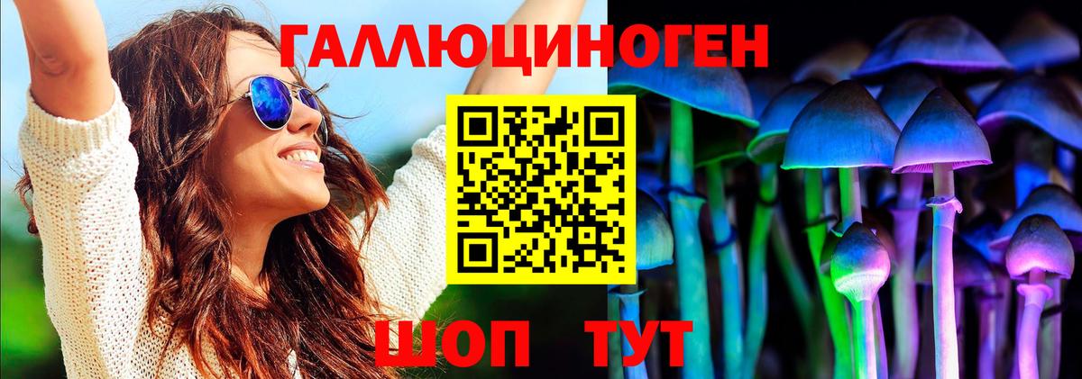 Псилоцибиновые грибы GOLDEN TEACHER  Вход с VPN  Грязи  Галлюциногенные грибы Cubensis 