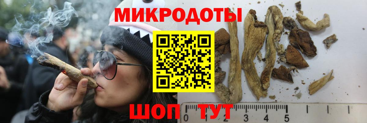 Псилоцибиновые грибы Psilocybine cubensis  Галлюциногенные грибы Cubensis  Грязи 