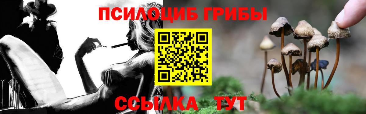 Галлюциногенные грибы прущие грибы Грязи